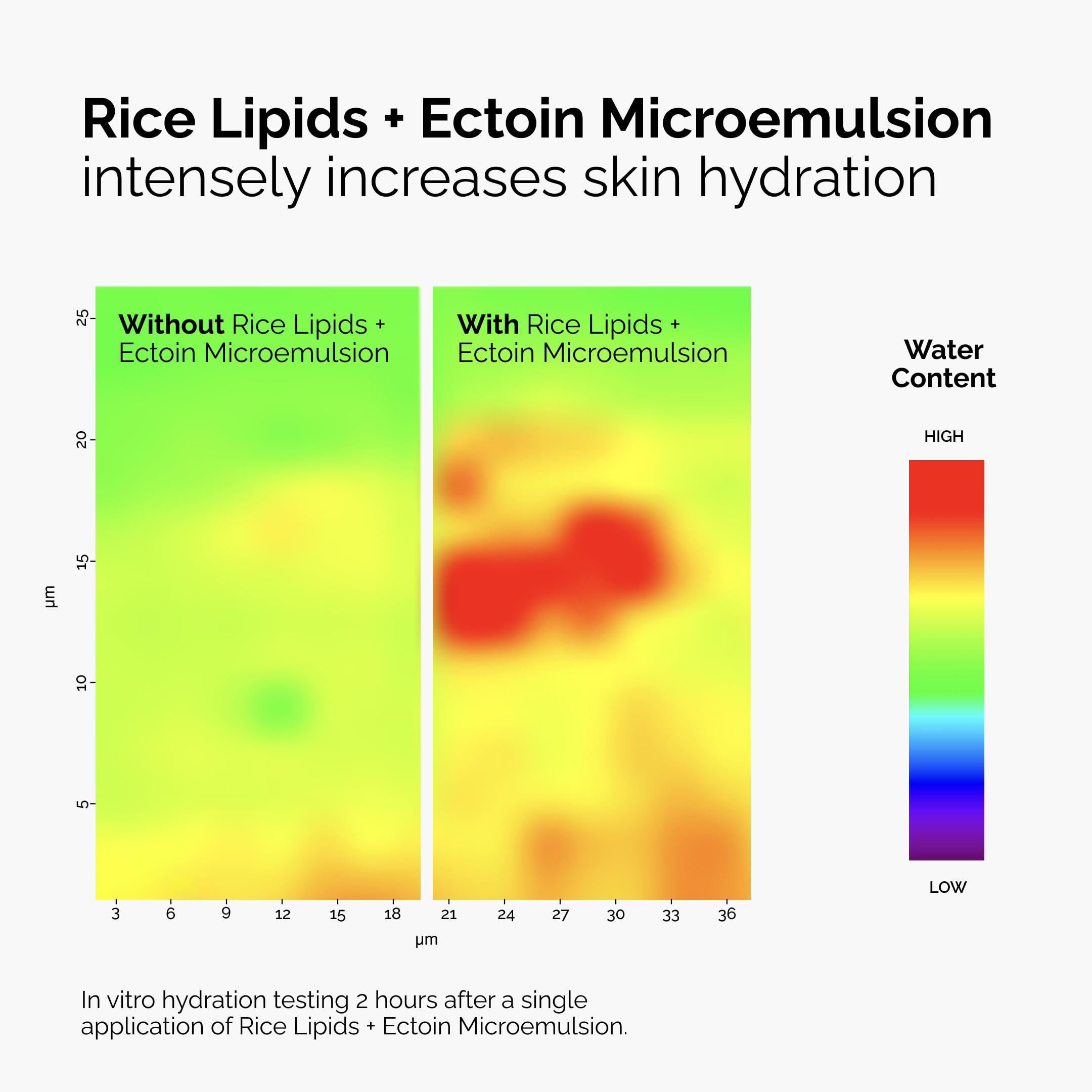 The Ordinary Rice Lipids + Ectoin Moisturizer