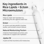 The Ordinary Rice Lipids + Ectoin Moisturizer