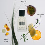 DedCool Eau de Parfum | Xtra Milk | Bergamot, White Musk & Amber | Clean Unisex Fragrance | Non-Toxic, Vegan | Travel Size Perfume, 15 mL